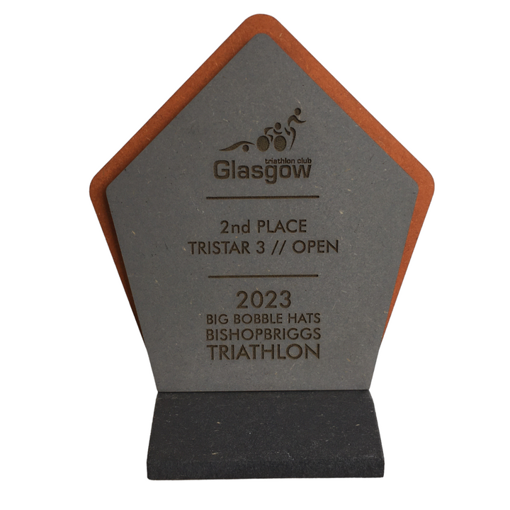 Coloured Wooden Trophies